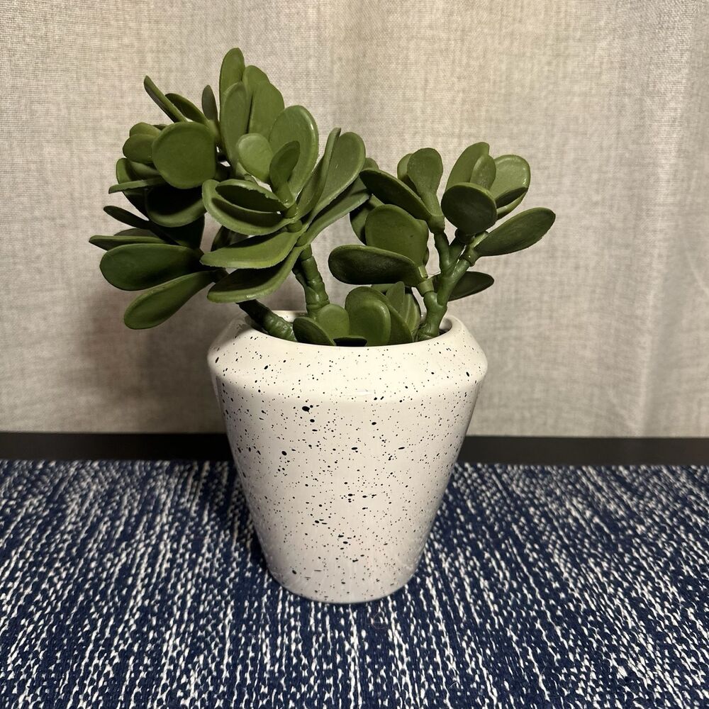 Project 62 Wall Planter
